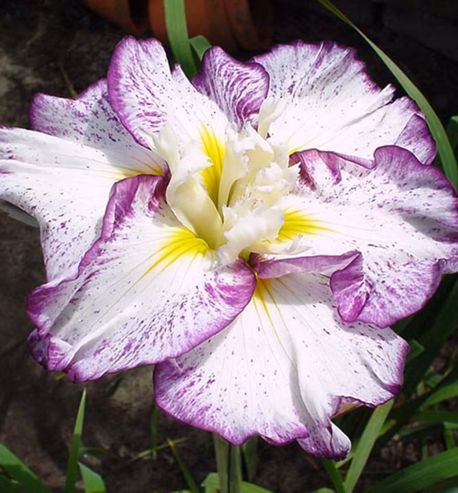 5e86a13260852680eee8479694724a84