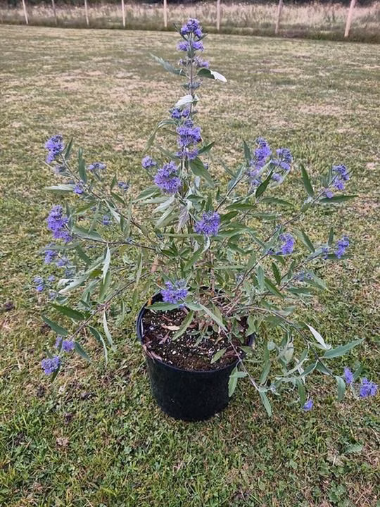 5e8d50fb82db7ac2daf19a9b5e58a00d