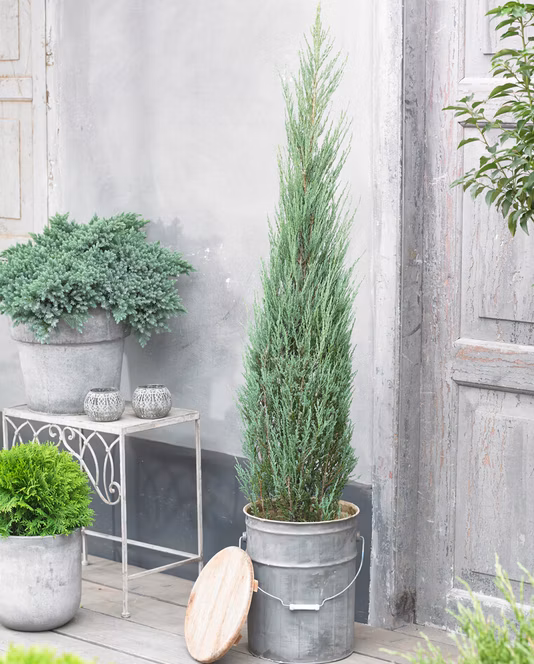 5e9197ba72ddc9fc7afd944120faa50b