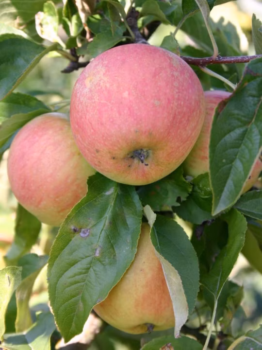 5eb0df58a289ebbf1a878b413453a83c