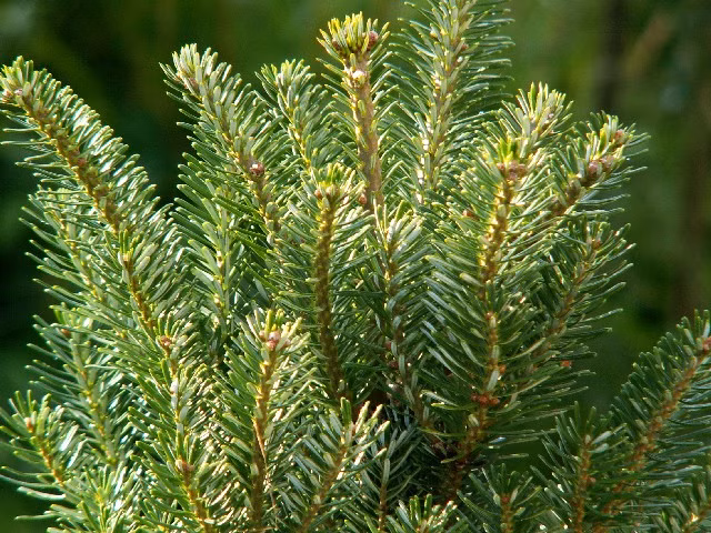 5ed8cbe35a069026e0cef110b8a18fe6