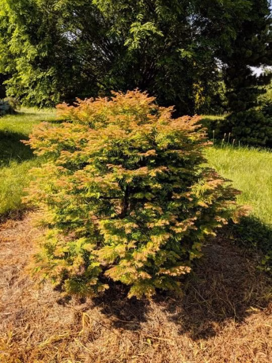 5ee0f28ee83e9b4170985d8600e2d6bd