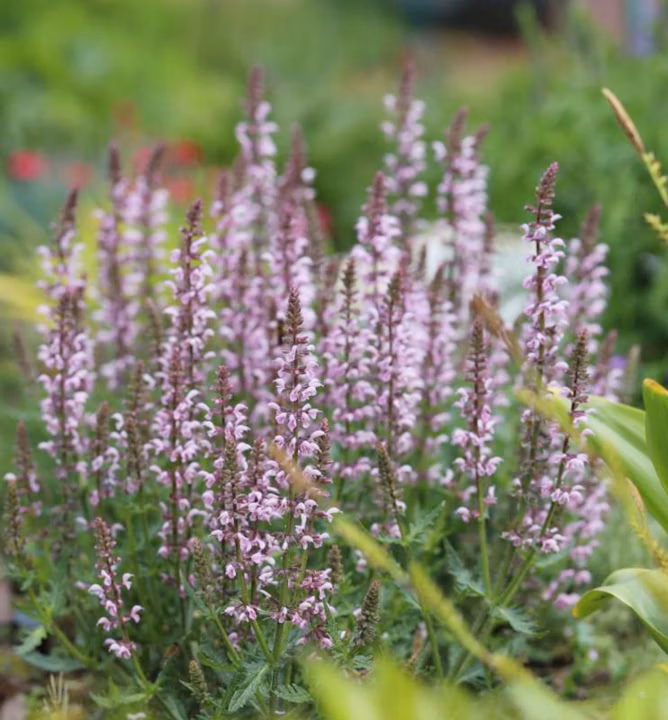 5f102544bf96a35847a9928548f674db