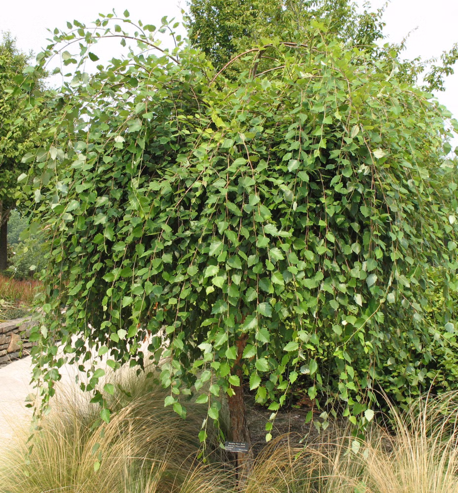 5f1c1569e7a4121e9869054bcaa8f5b4