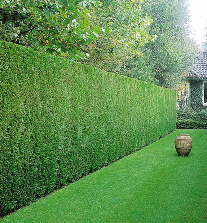 5f41a1a5e8faf7bf75f9529f2b2ede94