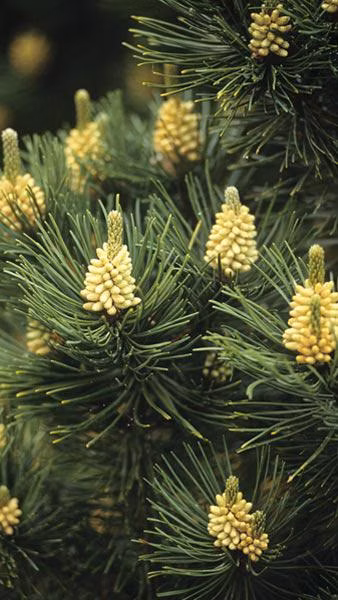 5f7be90d6859ef899a46e92b569d8df3