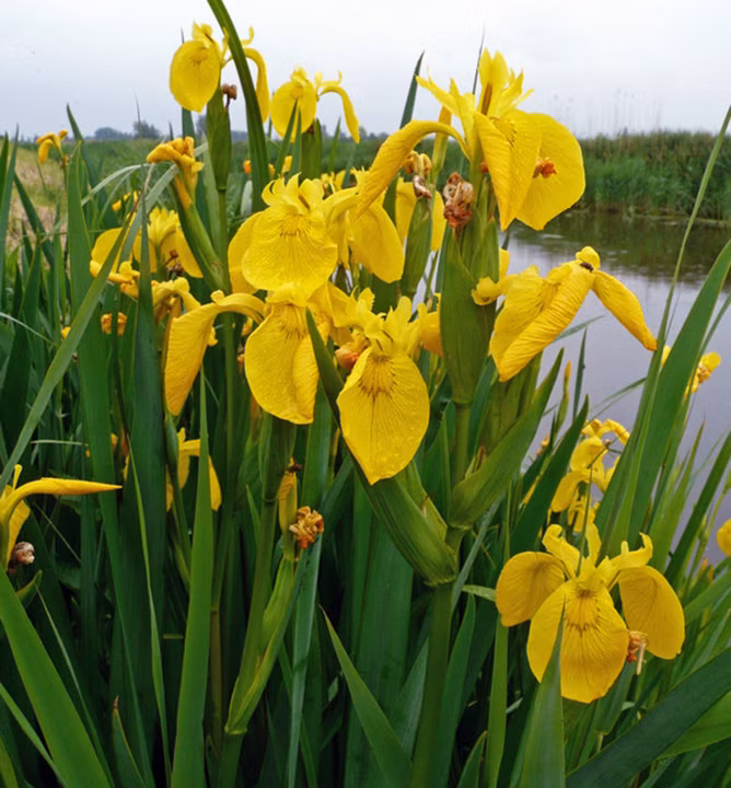 5f8155f25874222c12a6c4cf64daca72