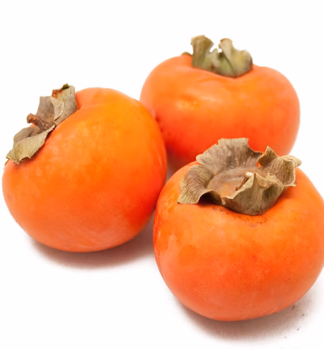 5fa3f5b7ffe1dc8e39949b937b300342