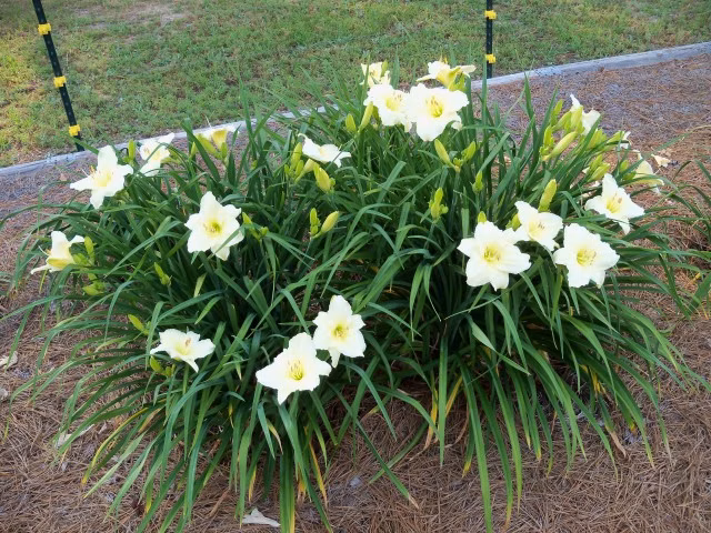 5fde47059dfecad9f2ffe8d00db7aa82