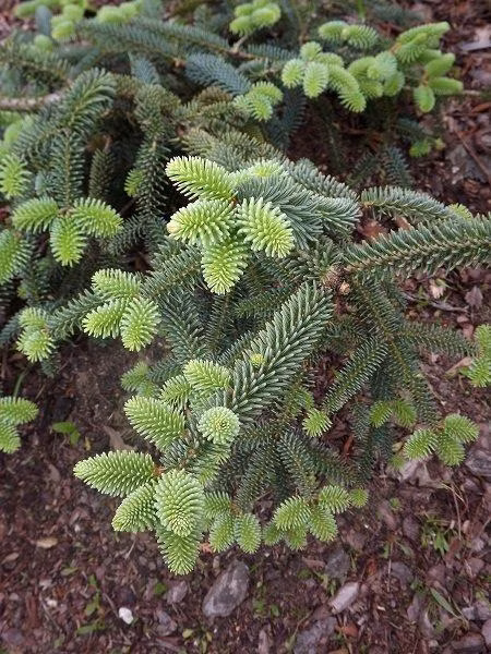 6000447666a0532e3e97bd25ac0fbf98