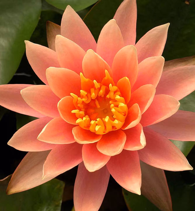 60a78de16cfe062f99c16440b54c9a09