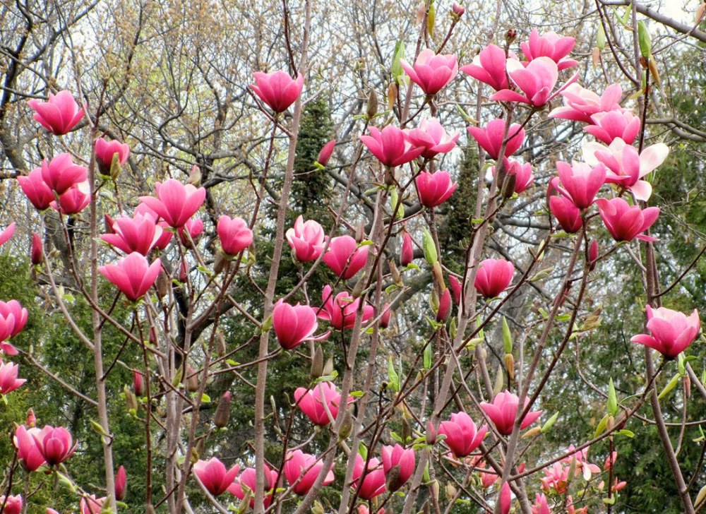 60d1571ec82e544535a9b7e1106b9e36