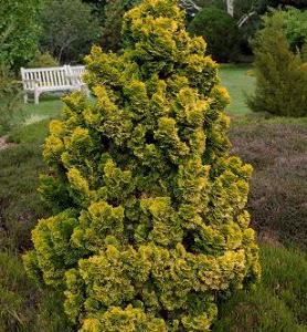 6105107ad59710fca4b1c765aa410988