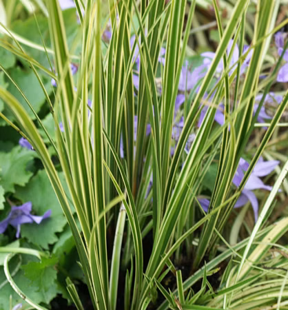 6164ae9034eb418a94ac0af62fe8cf3c