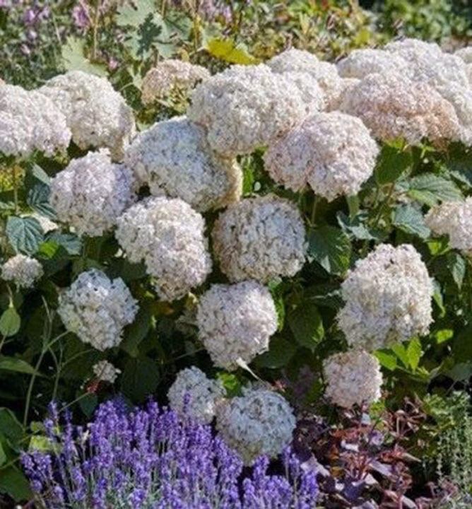 61761715f78d234821d5795baf890801