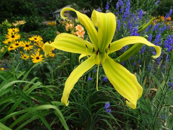 61a22d335600e58c06f3c72a63f60f1f