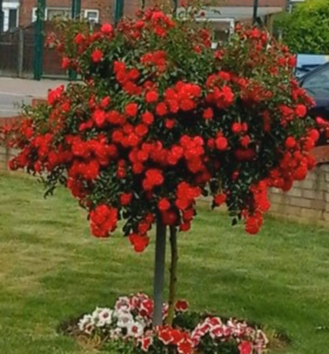 61cd0593b005f28f4c5a477b55be02d0