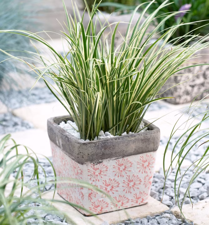 61d589cf666705beec14bdf7b46c7952