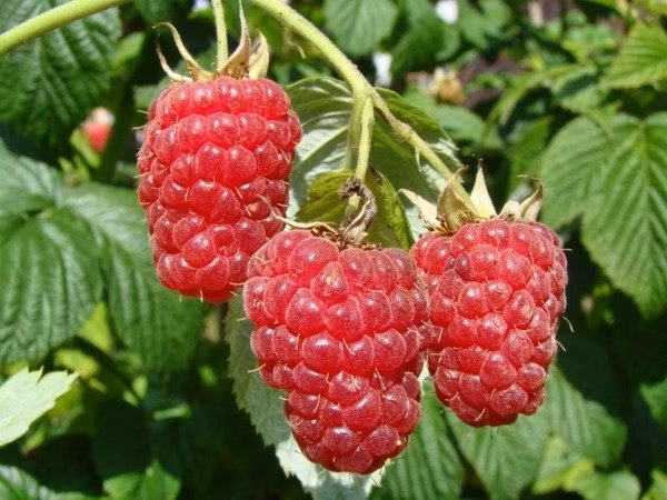 61e26a5082e8cc9b574748418da8407f