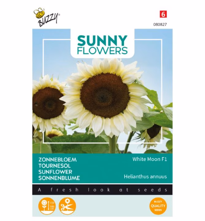 620ddc38a81b3f79c278fd4497803da9