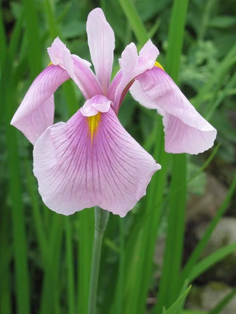 626ca3f0e9aeab087e53cfc94dff8bd8