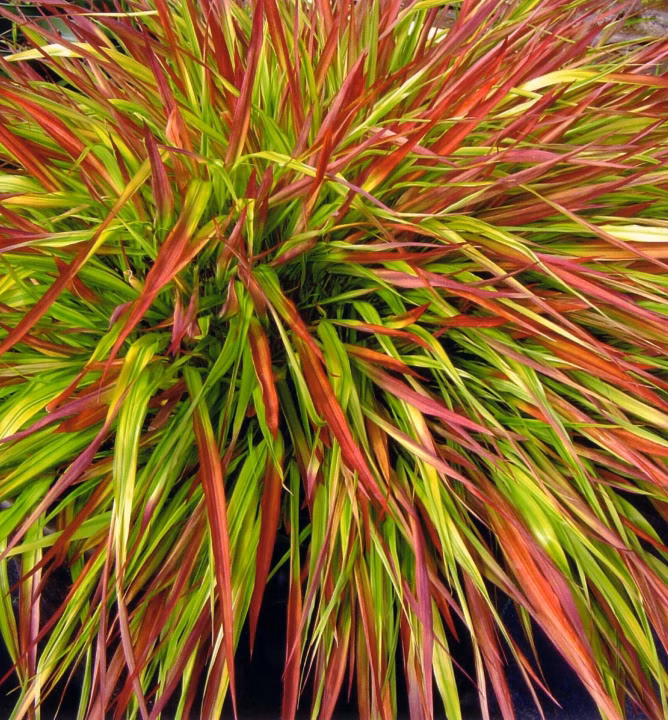 6278c305b521753777f20a0b0eae423a