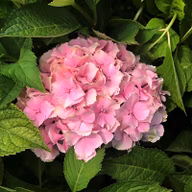 62b6c9187cbe7252580b29298e61ba83