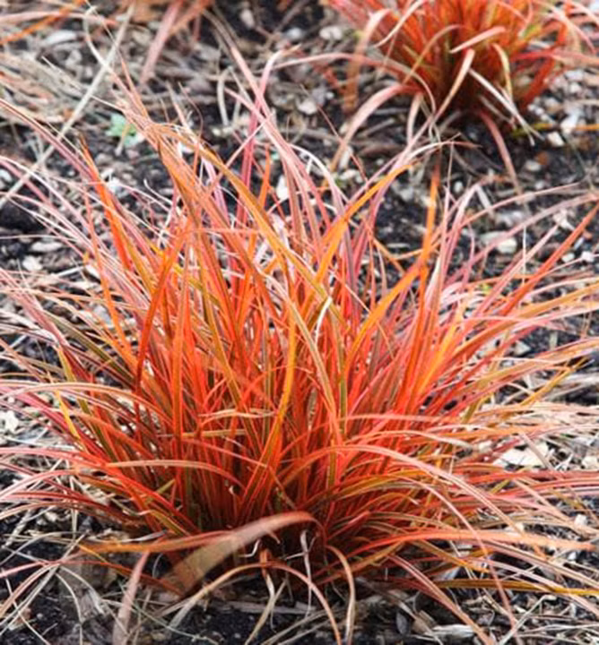 62e0bf532aa65b2f6e920080640a66b6