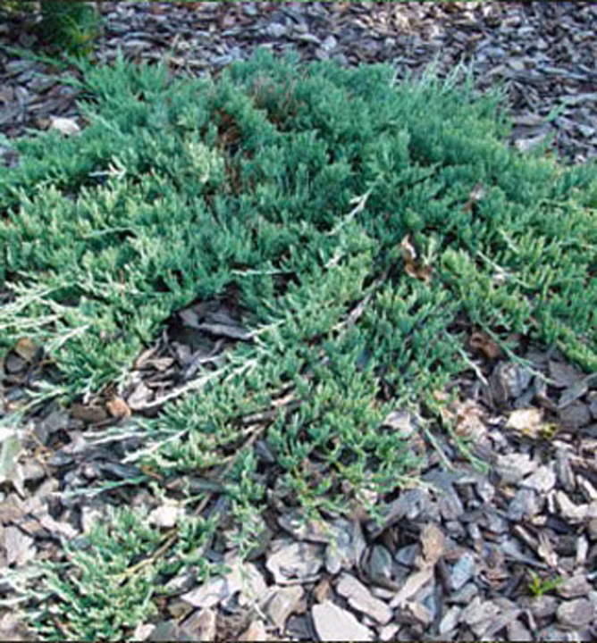 63913c282830325b4a02d0c329057586