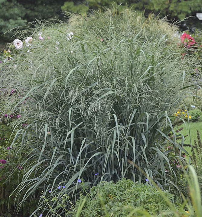 639d02f538f0f3ed733c3103c75e6408