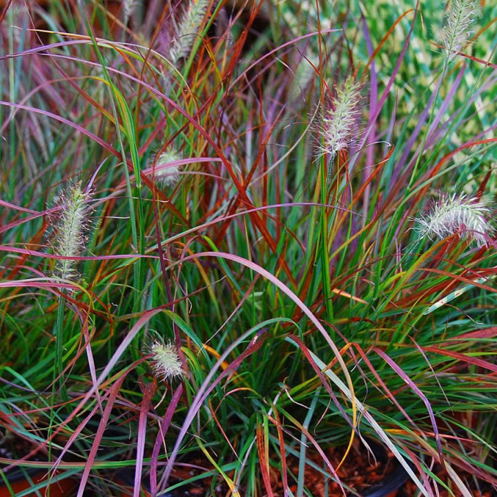 63d0f31f37079bfe7057027de71072c5