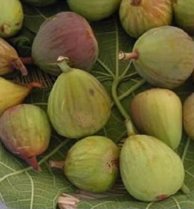 640740cf9d262d7f41c7e61239b5d776