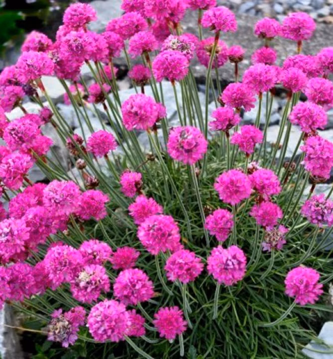 642082c43beff94db7a5245ab228248b