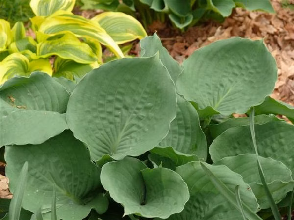 64581a3a9b45d75cdc2201a3e5809d76