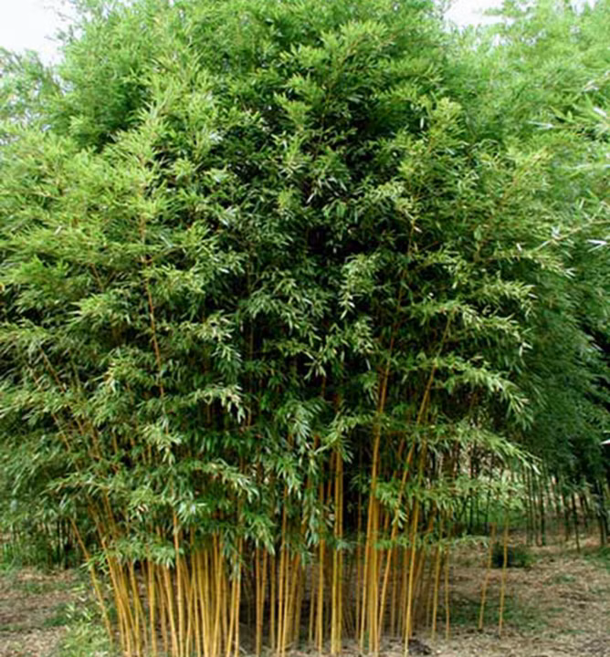 6493ebbe3747e78f937735acdb662828