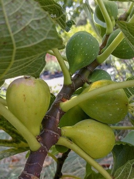 649fb3e50270fd136b81435f9571b672