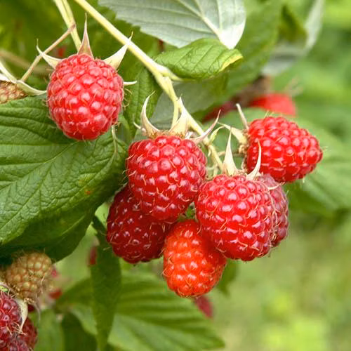 64cf6e01673024ad5cda7c9bf2e2cfca