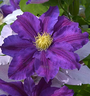 64de6a1154594c85b58d8021612cd042