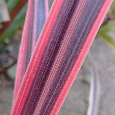 64fedc8aece00c98e19de6621c5f71f4