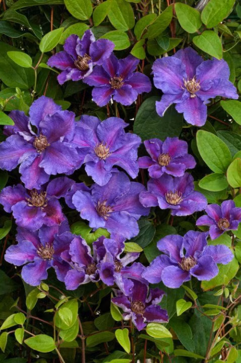 652f8445678b5c36b04b07fb06c2b30f