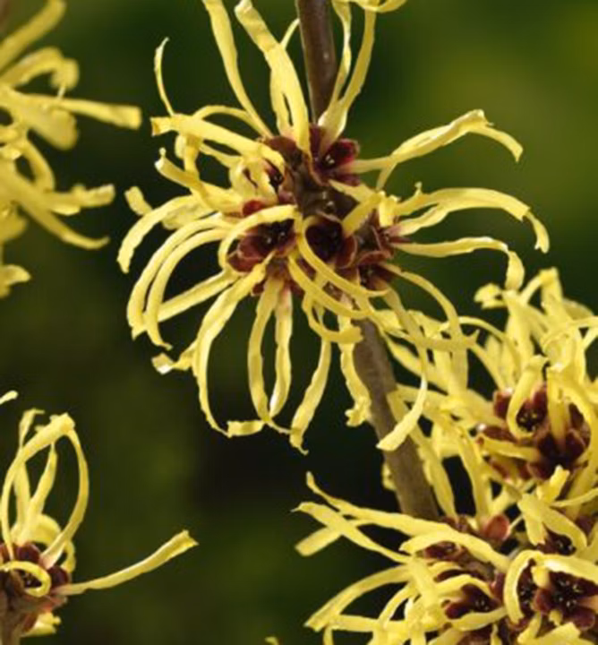 6530724e2e5b4638cd7069de54b6093a