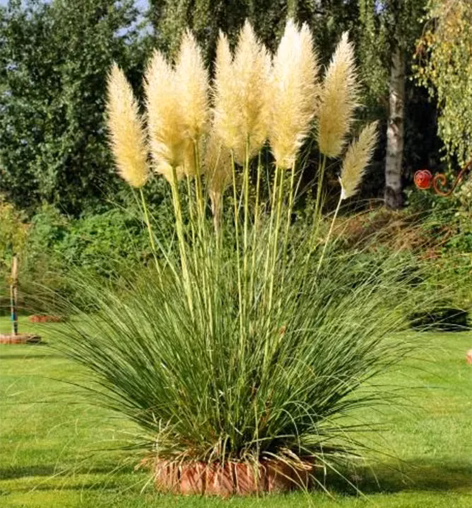 65703ad986252b729aac25210c944beb