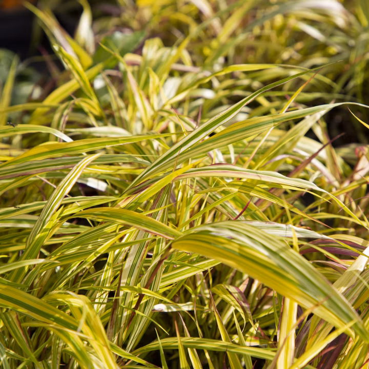 659c7617f59edc1e403b612905cbe6c5