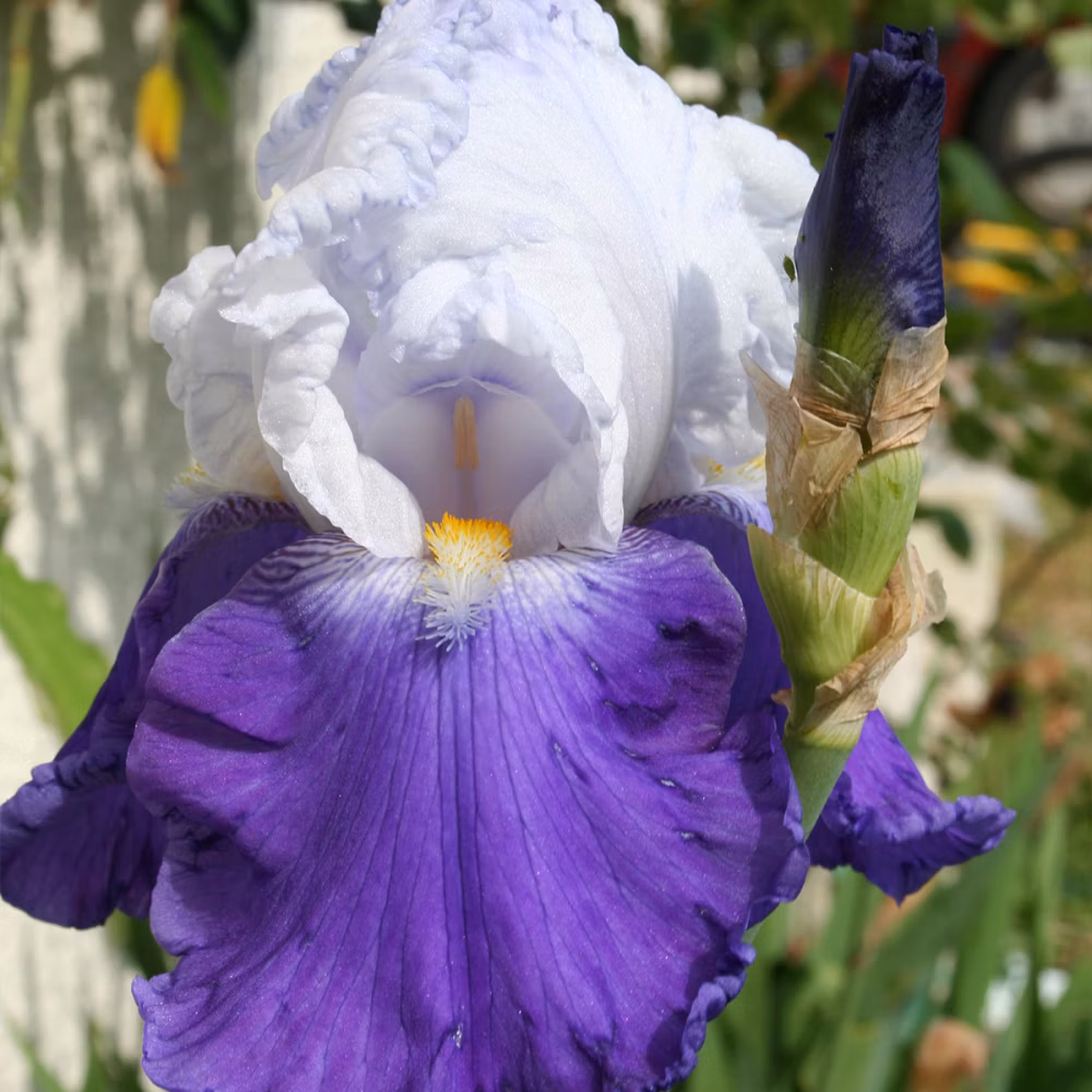 65b09312f4e62e3e98000ba9f5cadfa4