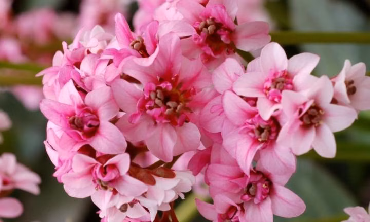 6629c1e8ae55876cdfd65250117c7eec