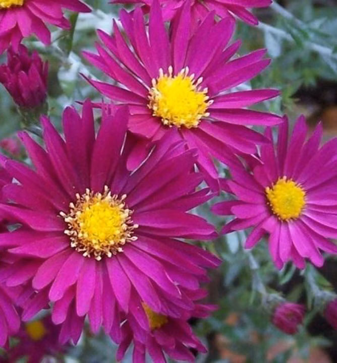 663c7cf50a5abc32fe5abe897fc89afb