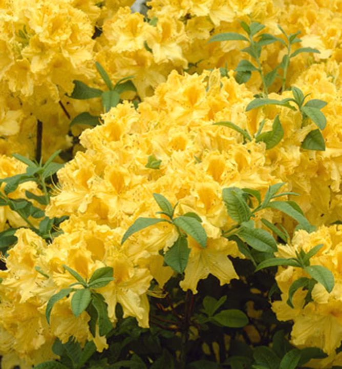 664608544f9d0266f219b27980d90133