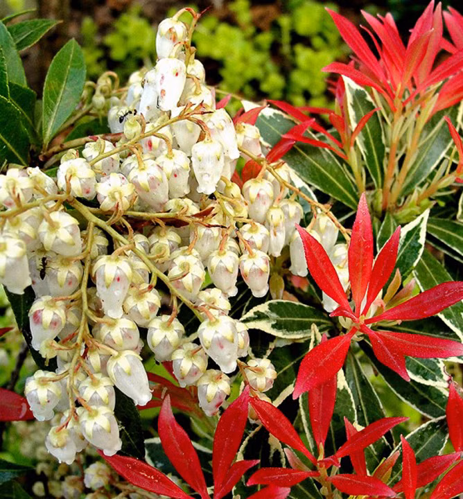 66ba120209c5b2ce449f73d8a706c322