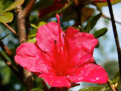 66d3c001aae1c740cbc4bb4fb3b2328f