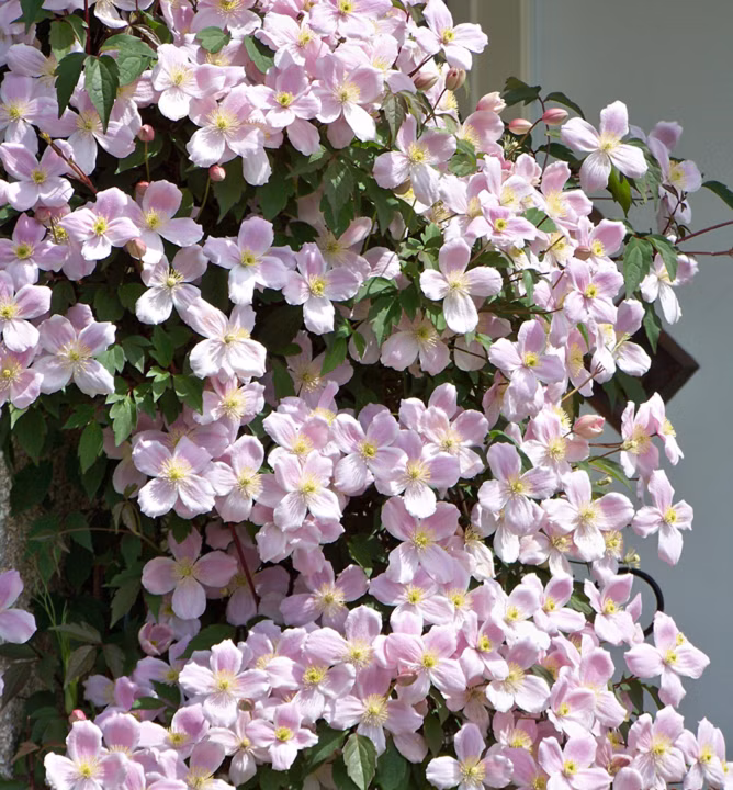 66e11dad40cad518ae8da699ae3ad959